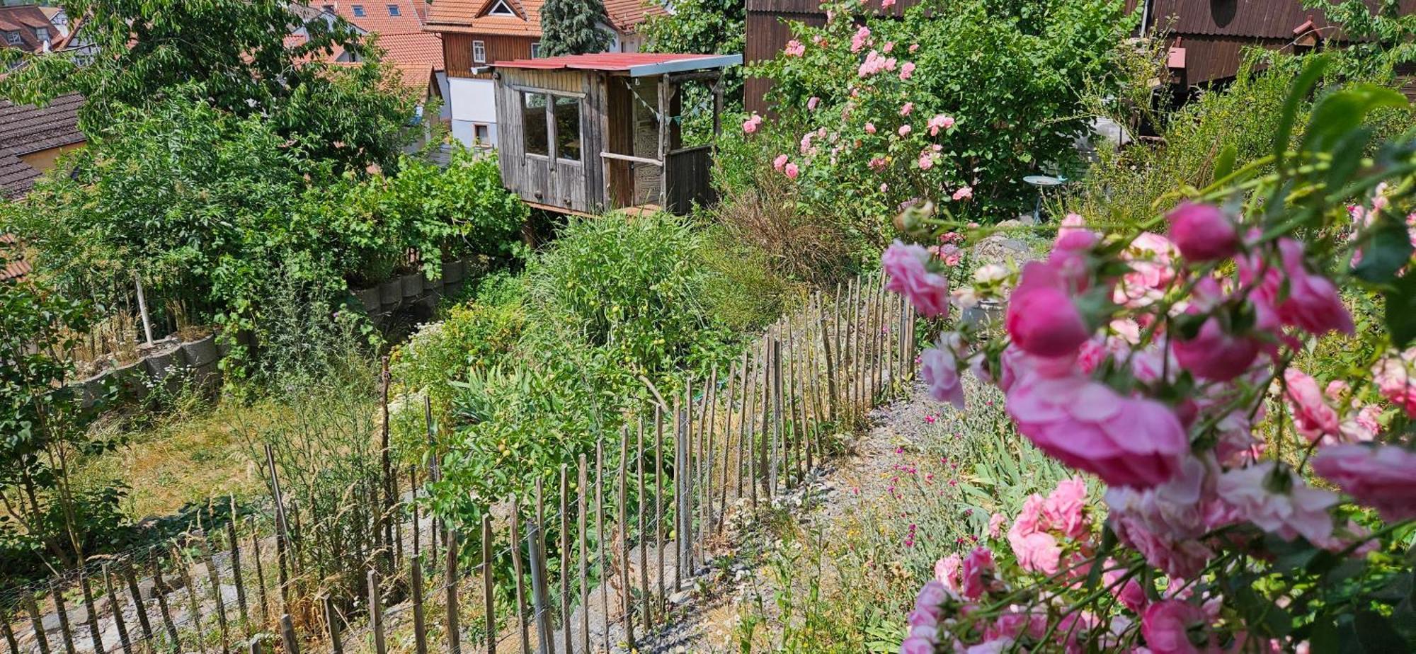 Waldheim Lindenfels Apartment Bagian luar foto